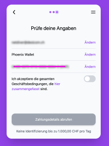 6) Sofern alles passt, klickst du auf «Zahlungsdetails abrufen».